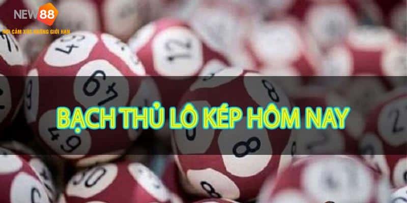 Bạch Thủ Lô Cùng Phương Pháp Đánh Tỷ Lệ Thắng Cao 99% 5 Đánh bạch thủ lô phụ thuộc dấu hiệu lô kép giải nhất