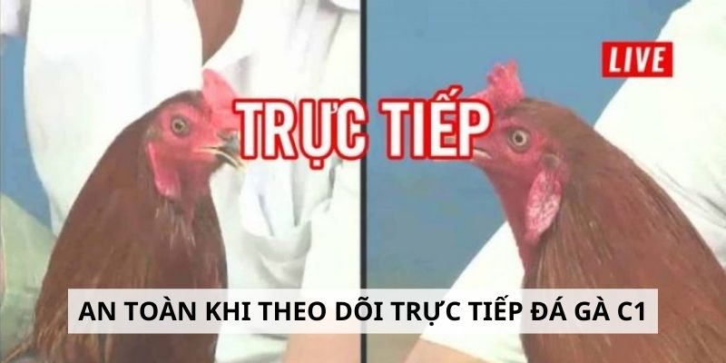 Trực Tiếp Đá Gà C1 Hôm Nay l Kinh Nghiệm Đặt Cược Thông Minh 7 An toàn khi theo dõi trực tiếp đá gà C1