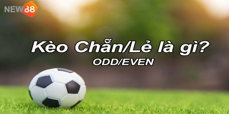 Kèo Chẵn Lẻ Là Gì? Mẹo Chơi Kèo Hiệu Quả Nhất 2024 4 Tìm hiểu chi tiết về hình thức cá cược E/O trong bộ môn bóng đá