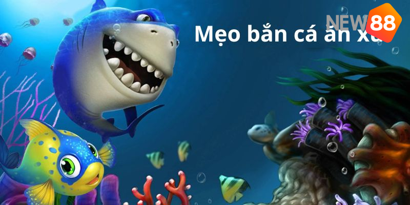 Mẹo Bắn Cá Ăn Xu Hiệu Quả Dành Cho Tân Thủ Mới Gia Nhập 6 Tổng hợp mẹo bắn cá ăn xu hiệu quả
