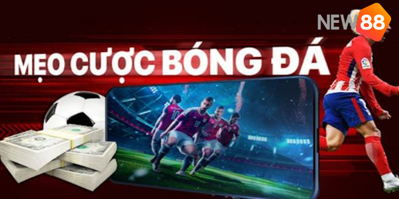 Mẹo Cá Cược Bóng Đá Cập Nhật Mới Nhất Năm 2024 4 Mẹo cá cược bóng đá theo từng kèo