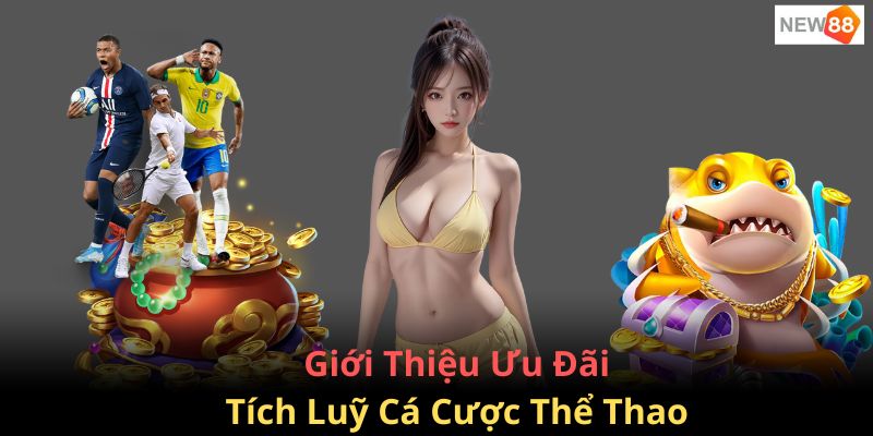 Tích Lũy Cá Cược Thể Thao Đặt Càng Nhiều Thưởng Càng Lớn 4 Giới thiệu chương trình ưu đãi thưởng tích lũy khi bạn cá cược thể thao