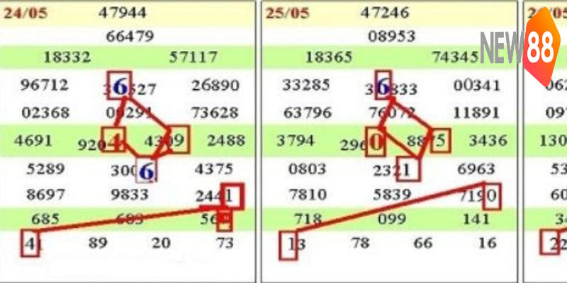 Cách Soi Cầu Quả Trám - Tay Mơ Sử Dụng Hiệu Quả Nhất 2024 5 Cách soi cầu quả trám - Hãy thử 3 cách soi cầu sau
