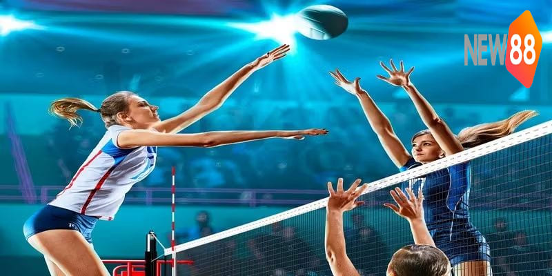 Hướng Dẫn Cách Cược Bóng Chuyền Hiệu Quả Nhất Hiện Nay 7 Bí quyết tham gia các cách cược bóng chuyền hiệu quả