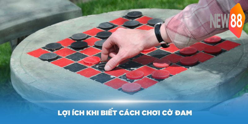 Cách Chơi Cờ Đam - Hướng Dẫn Giúp Bạn Trở Thành Bậc Thầy 6 Những lợi ích khi biết cách chơi cờ đam