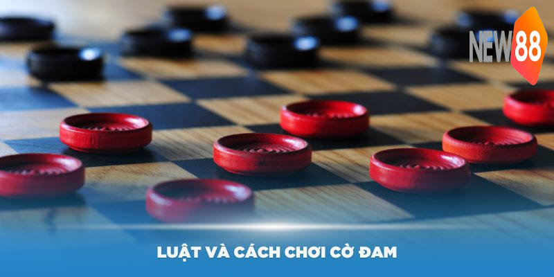 Cách Chơi Cờ Đam - Hướng Dẫn Giúp Bạn Trở Thành Bậc Thầy 4 Nắm luật và cách chơi cờ đam dễ dàng