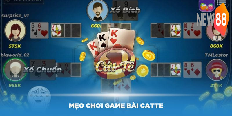 Game Bài Catte Online - Hướng Dẫn Chi Tiết Cách Chơi Chuẩn 7 Các mẹo chơi game bài Catte online hiệu quả nhất