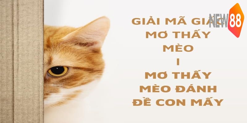 Mơ Thấy Mèo | Khám Phá Thông Điệp Và Con Số May Mắn 5 Con số may mắn khi mơ thấy mèo được New88 tổng hợp