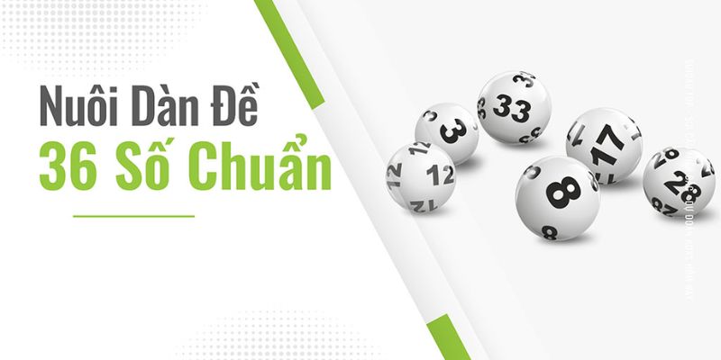 Nuôi Dàn Đề 36 Con Khung 3 Ngày Áp Dụng Cực Đỉnh 5 Cách vào vốn nuôi dàn đề 36 khung 3 ngày