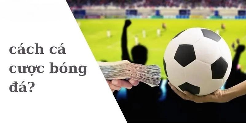Hướng Dẫn Cá Cược Bóng Online Trên Điện Thoại Cho Anh Em 3 Những tiêu chí trên đánh giá nơi cá cược bóng online trên điện thoại uy tín
