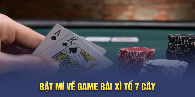 Xì Tố 7 Cây - Chia Sẻ Cách Chơi & Bí Kíp Đánh Bài Đại Thắng 4 Sơ lược về game Xì Tố 7 cây tại New88