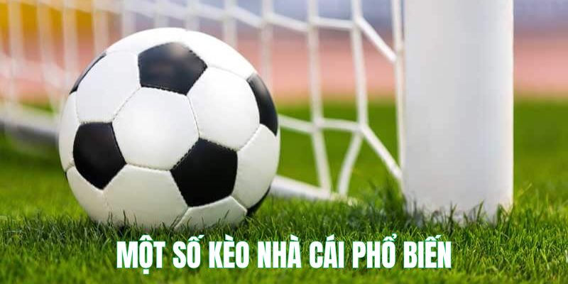 Kèo Nhà Cái - Hé Lộ Bí Mật Thắng Cược Lớn Tại New88 5 5 loại hình đặt cược đang được ưa chuộng trong năm 2024