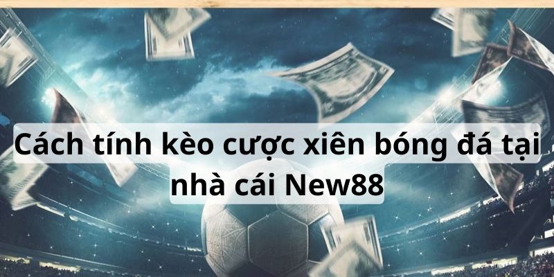 Cách Chơi Kèo Cược Xiên Bóng Đá Cực Kỳ Hiệu Quả Tại New88 5 Chi tiết cách tính cược xiên cho bạn chi tiết