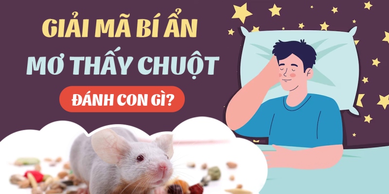 Mơ Thấy Chuột l Ý Nghĩa Tâm Linh Và Dự Báo Tương Lai 8 Nằm mơ thấy chuột nên đánh con đề nào?