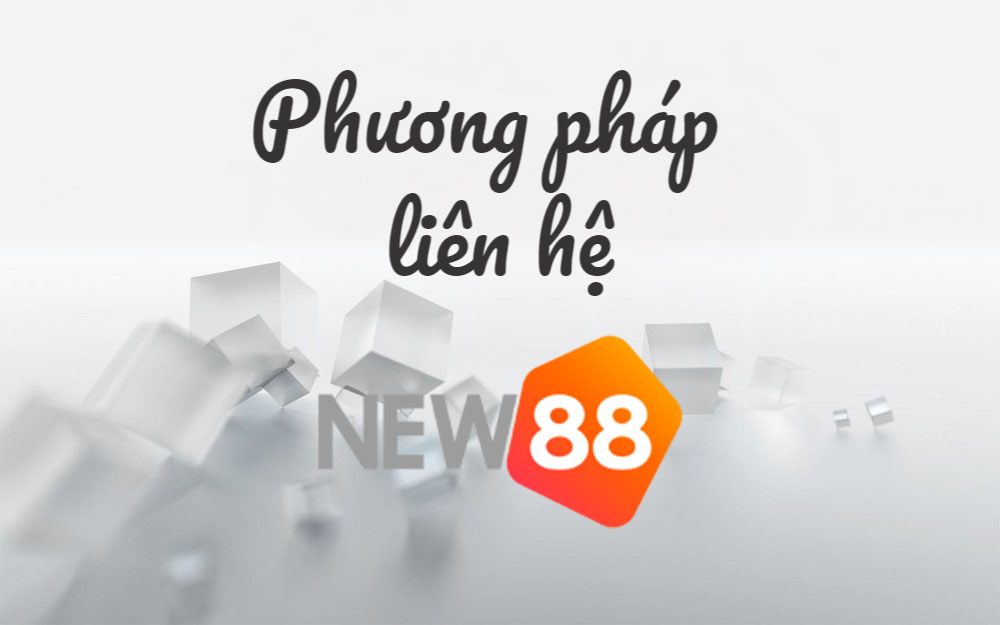 Liên hệ New88 3 Những phương thức liên hệ New88